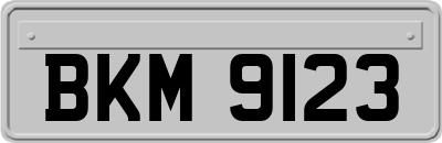 BKM9123