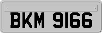 BKM9166