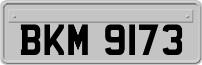 BKM9173