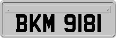 BKM9181