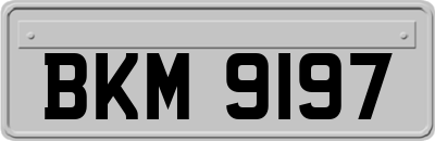 BKM9197