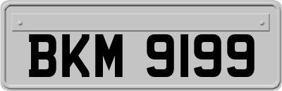 BKM9199