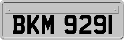 BKM9291