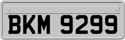 BKM9299