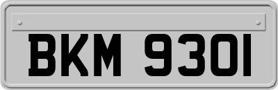 BKM9301
