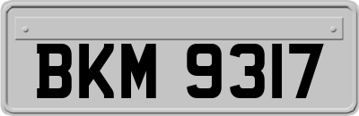 BKM9317