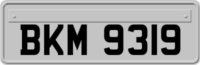 BKM9319