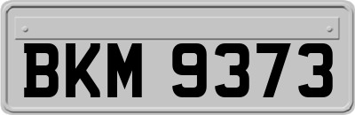BKM9373