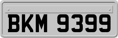 BKM9399