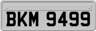 BKM9499