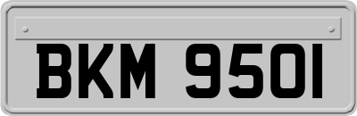 BKM9501