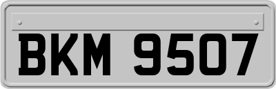 BKM9507
