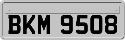 BKM9508