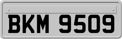 BKM9509