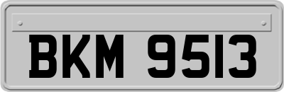 BKM9513