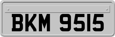 BKM9515