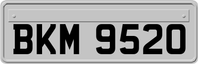BKM9520