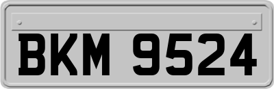 BKM9524