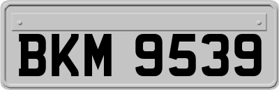 BKM9539