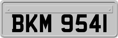 BKM9541