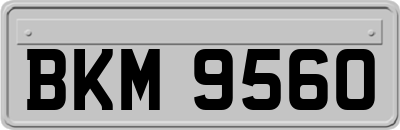 BKM9560