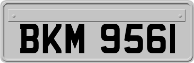 BKM9561