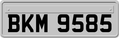 BKM9585
