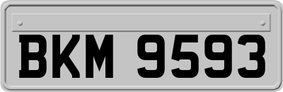 BKM9593