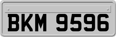 BKM9596