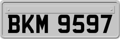BKM9597