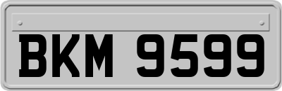 BKM9599