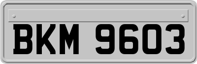 BKM9603