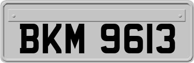 BKM9613