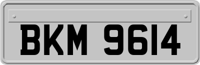 BKM9614