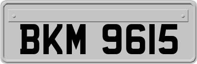 BKM9615