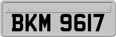 BKM9617