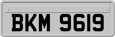 BKM9619