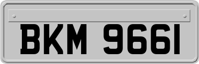 BKM9661