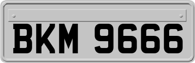 BKM9666