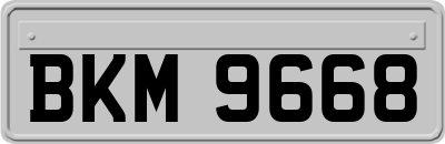 BKM9668
