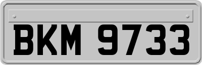 BKM9733