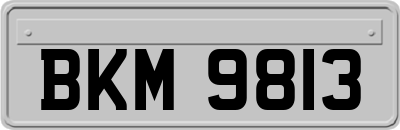 BKM9813