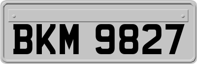BKM9827