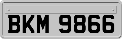 BKM9866