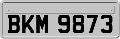 BKM9873
