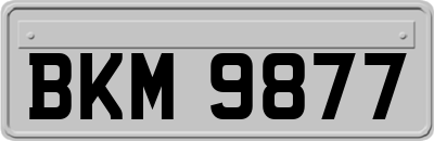 BKM9877