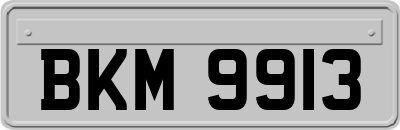 BKM9913