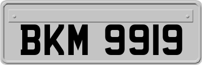 BKM9919
