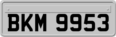BKM9953