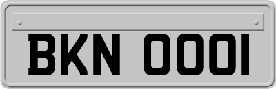 BKN0001